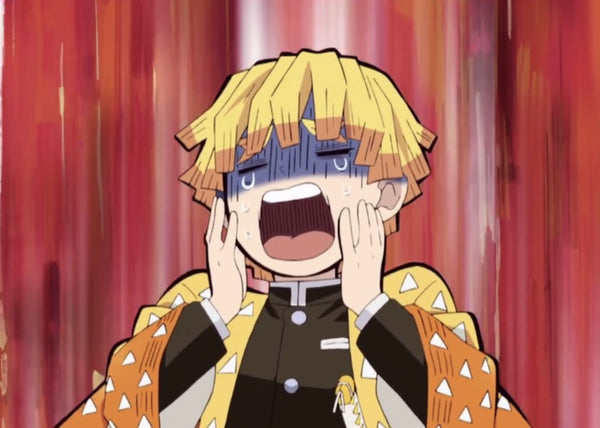 Post Pandemic Discontinued Kigurumi
