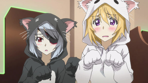 The Desire to Dress Cuter Inevitably Ends in a Kigurumi