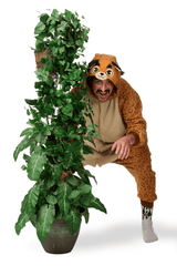 Exotic Cat Kigurumi